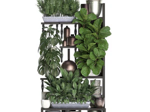 collection exotic plants 370 3D Model