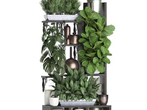 collection exotic plants 370 3D Model