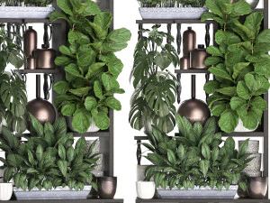 collection exotic plants 370 3D Model