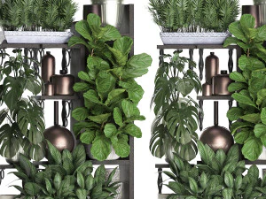 collection exotic plants 370 3D Model