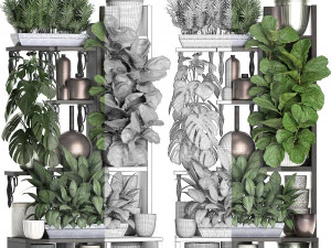 collection exotic plants 370 3D Model