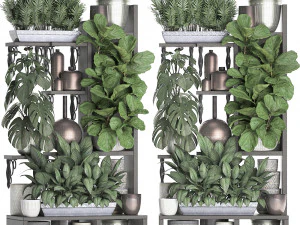 collection exotic plants 370 3D Model