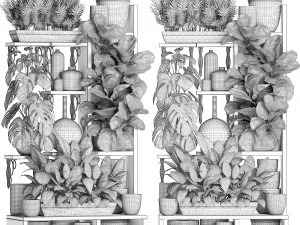 collection exotic plants 370 3D Model