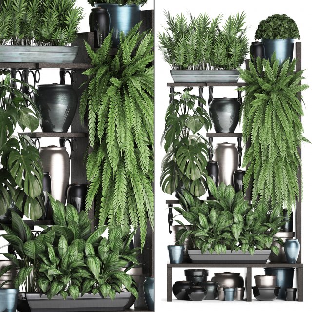 collection exotic plants 371 3D Model .c4d .max .obj .3ds .fbx .stl .blend 