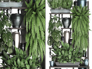 collection exotic plants 371 3D Model