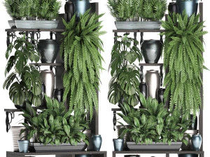 collection exotic plants 371 3D Model
