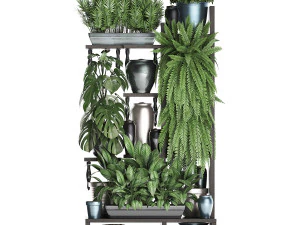 collection exotic plants 371 3D Model