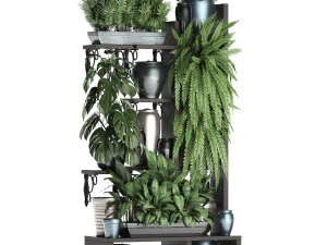 collection exotic plants 371 3D Model