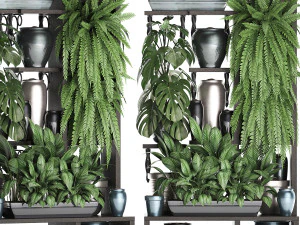 collection exotic plants 371 3D Model