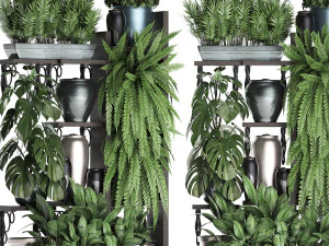 collection exotic plants 371 3D Model