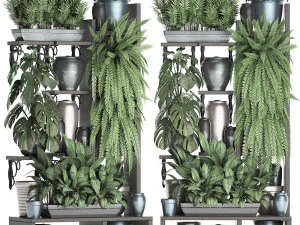 collection exotic plants 371 3D Model