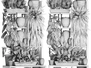 collection exotic plants 371 3D Model