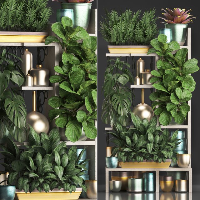 collection exotic plants 372 Model 3D .c4d .max .obj .3ds .fbx .stl .blend 