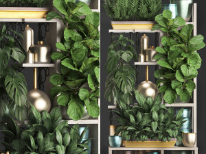 collection exotic plants 372 Modelo 3D