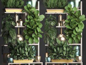 collection exotic plants 372 Model 3D