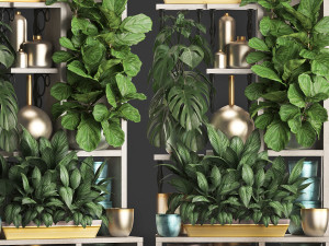 collection exotic plants 372 Model 3D