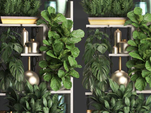 collection exotic plants 372 3D Model