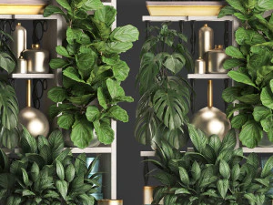 collection exotic plants 372 3D Model