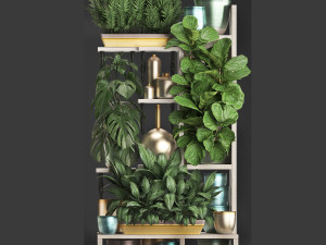 collection exotic plants 372 Model 3D