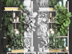 collection exotic plants 372 Model 3D
