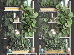 collection exotic plants 372 Model 3D