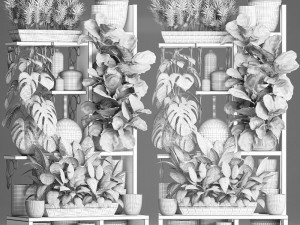 collection exotic plants 372 Model 3D