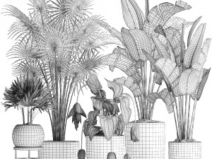 collection exotic plants 373 3Dモデル