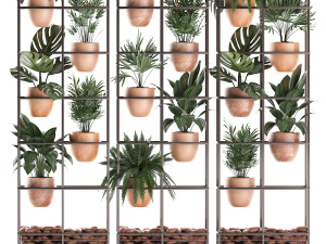 plants collection vertical gardening 30 Modello 3D