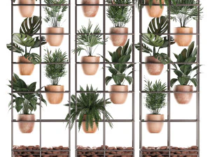 plants collection vertical gardening 30 3D Model