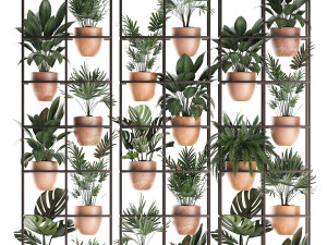 plants collection vertical gardening 30 Modello 3D