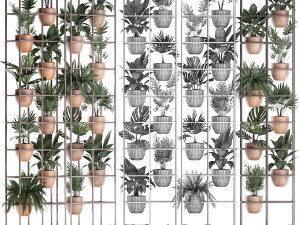plants collection vertical gardening 30 Modello 3D