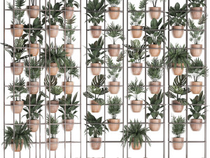 plants collection vertical gardening 30 Modello 3D