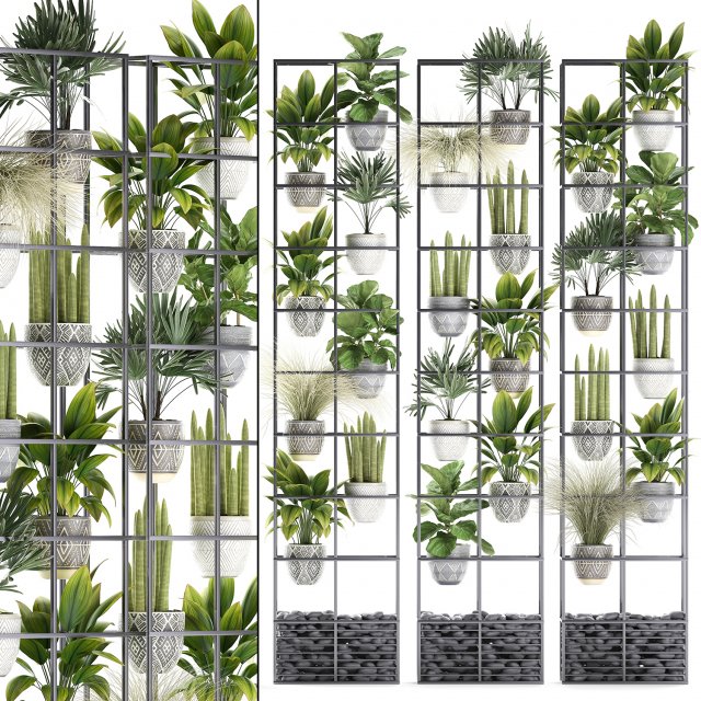 plants collection vertical gardening 31 Model 3D .c4d .max .obj .3ds .fbx .stl .blend