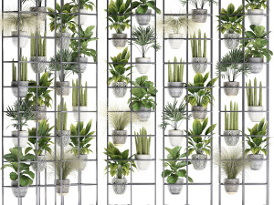plants collection vertical gardening 31 Model 3D