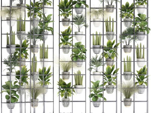 plants collection vertical gardening 31 3D Model