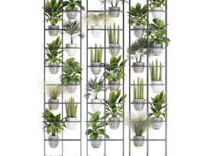 plants collection vertical gardening 31 Model 3D