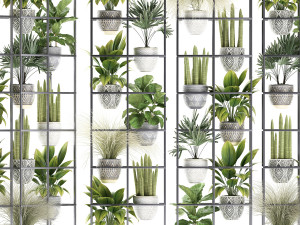 plants collection vertical gardening 31 Model 3D