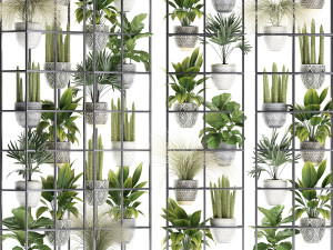 plants collection vertical gardening 31 Model 3D