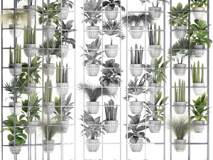 plants collection vertical gardening 31 Model 3D