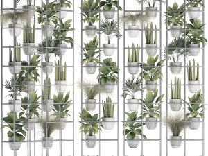 plants collection vertical gardening 31 Model 3D