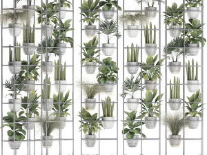 plants collection vertical gardening 31 3D Model
