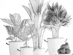 collection exotic plants 378 3D Model