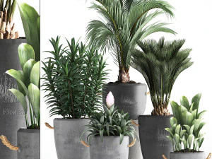 koleksi tanaman eksotik 379 Model 3D