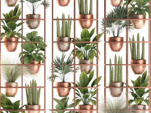 plants collection vertical gardening 32 3D Model