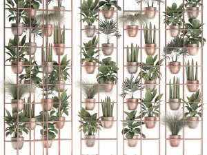 plants collection vertical gardening 32 3D Model