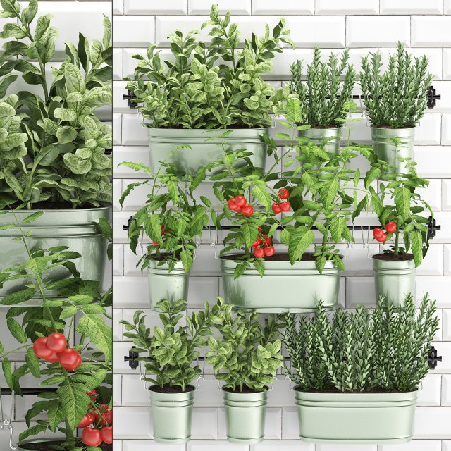 decorative plants for the kitchen on railing 380 Modèle 3D .c4d .max .obj .3ds .fbx .stl .blend 