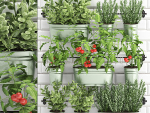 decorative plants for the kitchen on railing 380 3D-Modell