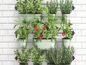 decorative plants for the kitchen on railing 380 Modèle 3D