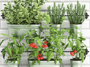 decorative plants for the kitchen on railing 380 Modèle 3D