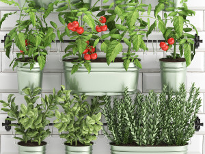 decorative plants for the kitchen on railing 380 Modèle 3D